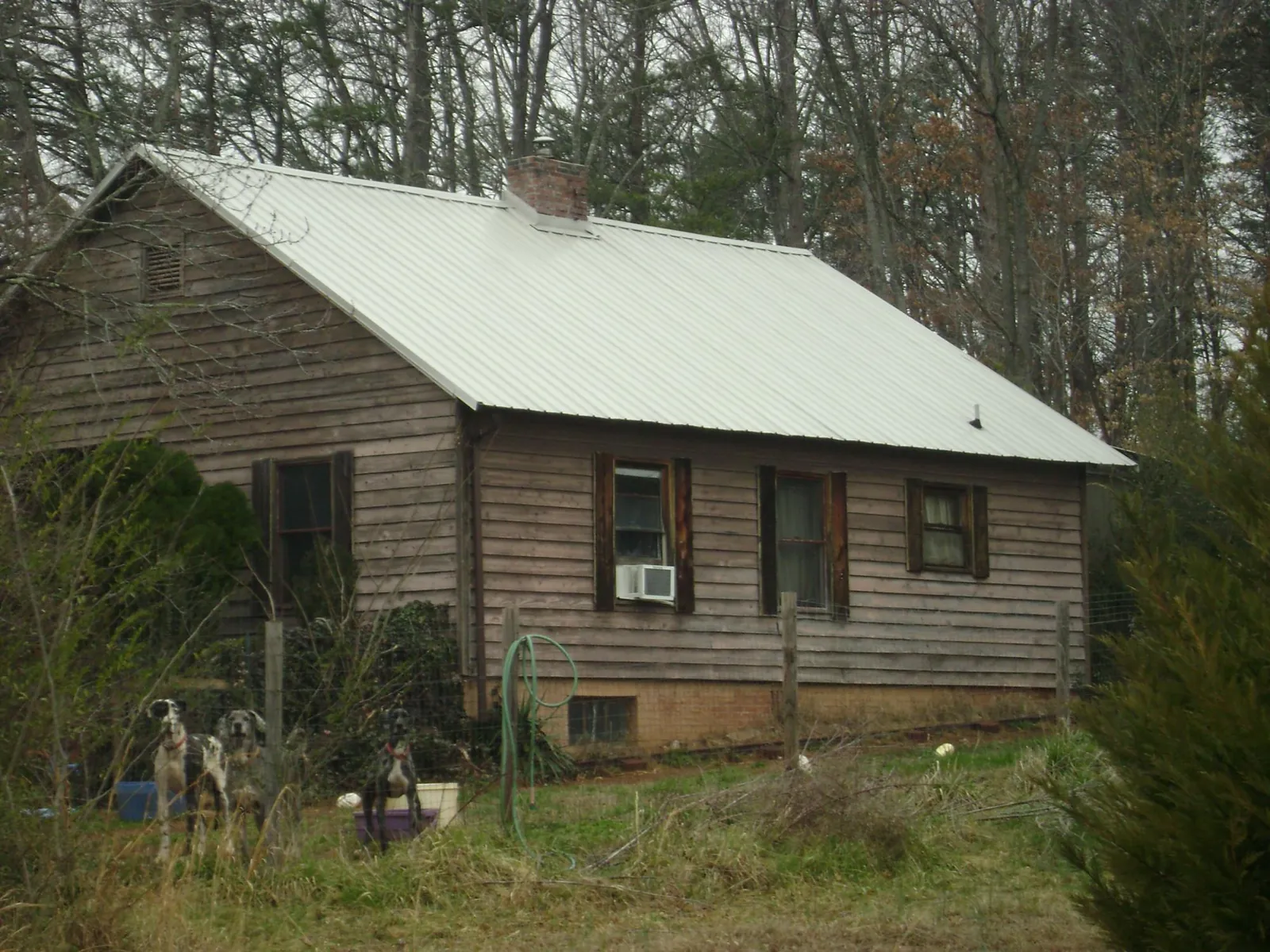 White metal roof on an old wood sided farmhouse, from a Metal Roof Installation job in Josephine